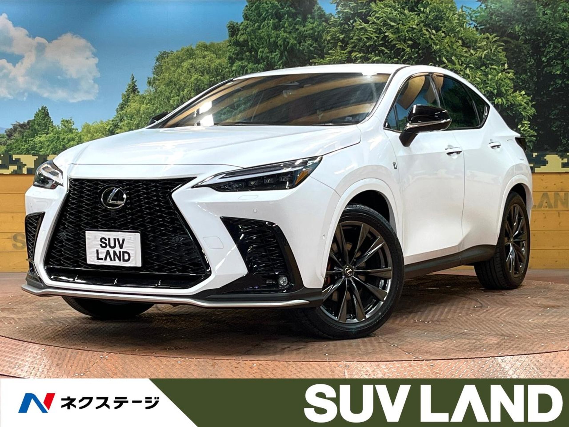 LEXUS NX - View 1