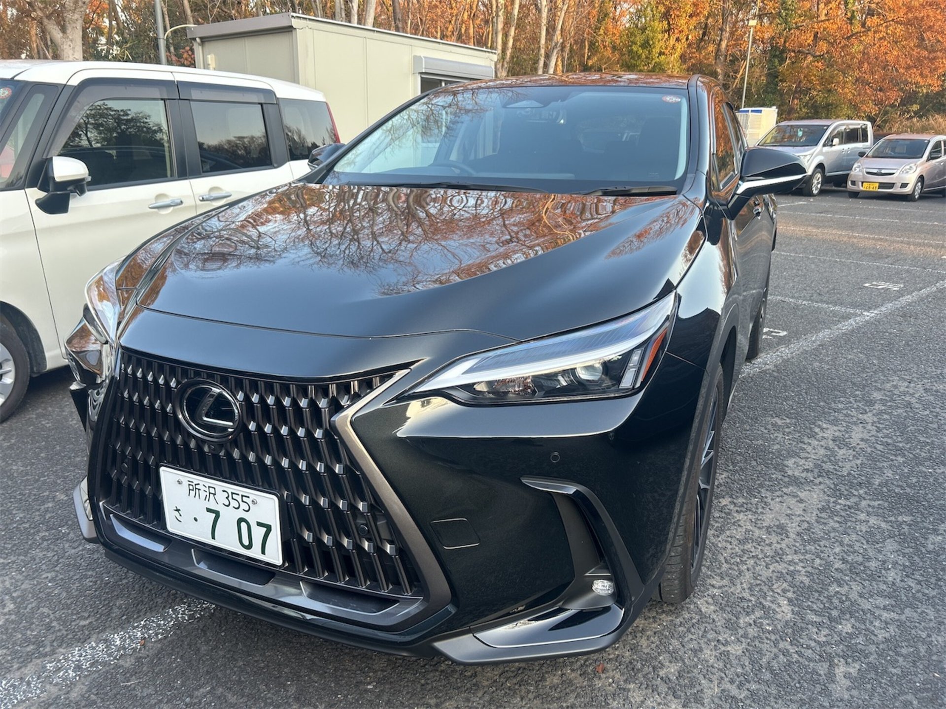 LEXUS NX - View 1