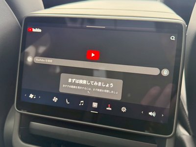 2025 Tesla MODEL Y thumbnail 60