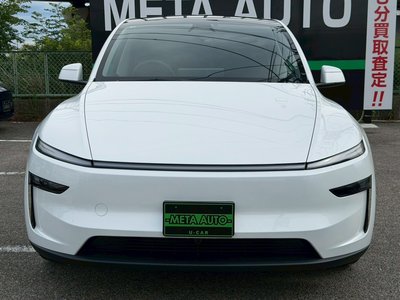 2025 Tesla MODEL Y thumbnail 19