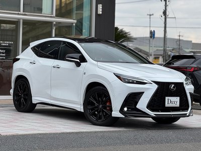 LEXUS NX - 10