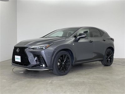 صورة مصغرة 37 لـ 2023 Lexus NX