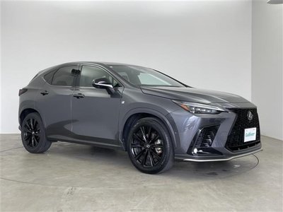صورة مصغرة 41 لـ 2023 Lexus NX