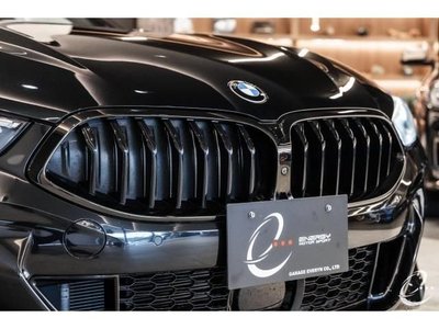 2020 BMW 8 SERIES 照片 9