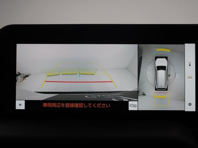 2024 Toyota LAND CRUISER 250 缩略图 27
