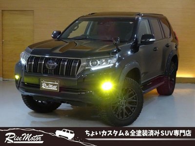 TOYOTA LAND CRUISER PRADO - 1