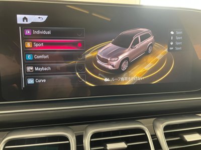 صورة مصغرة 19 لـ 2024 Mercedes-BENZ GLS MAYBACH