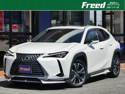 2024 Lexus UX 照片 1
