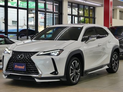 2024 Lexus UX 照片 2