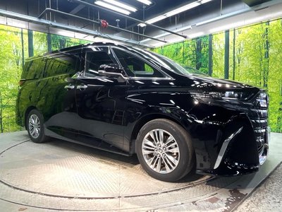 2023 Toyota ALPHARD 照片 17