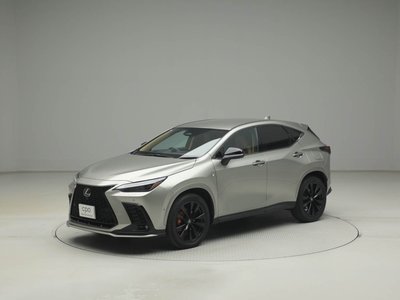 LEXUS NX - 6