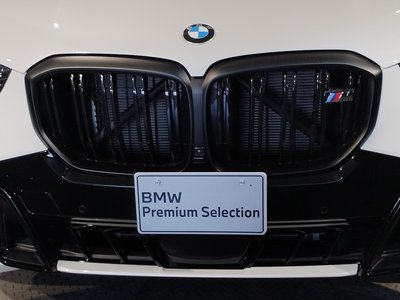 2025 BMW X5 — миниатюра 12