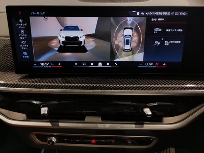 2025 BMW X5 — миниатюра 80