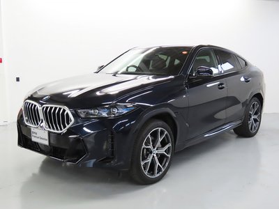 BMW X6 - 1