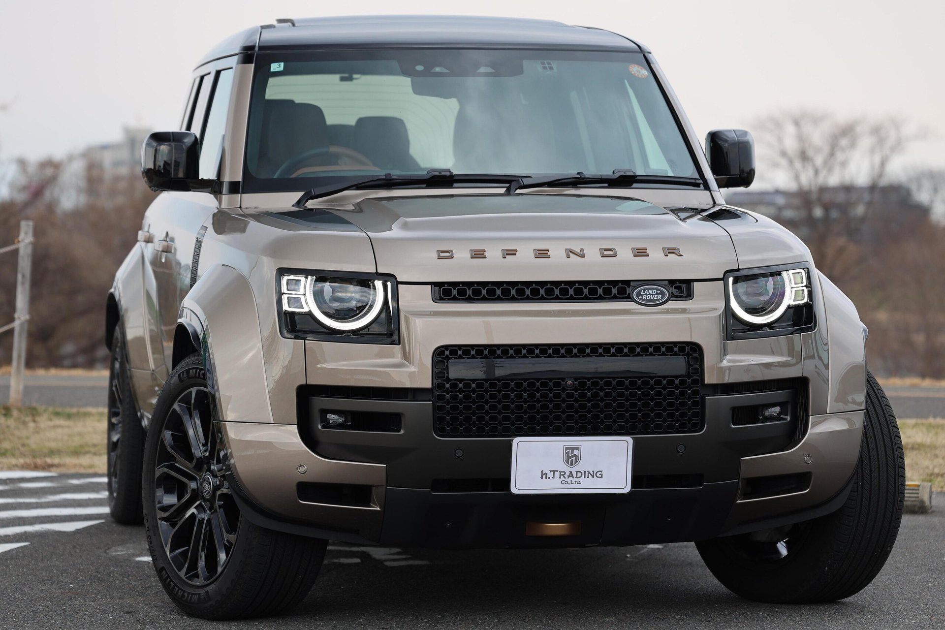 LAND ROVER DEFENDER - View 1