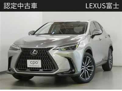 LEXUS NX - 1