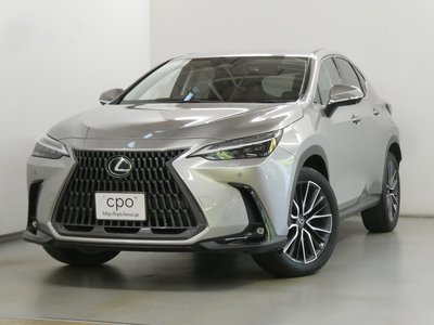 LEXUS NX - 4