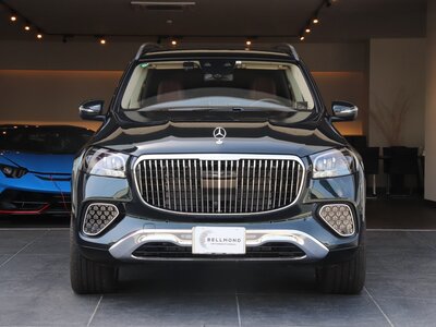 MERCEDES-BENZ GLS MAYBACH 2023 thumbnail 19