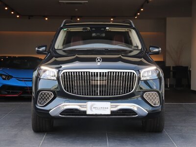 MERCEDES-BENZ GLS MAYBACH 2023 thumbnail 20