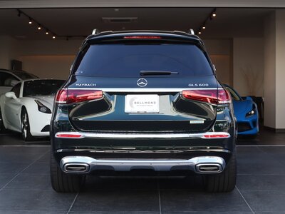 MERCEDES-BENZ GLS MAYBACH 2023 thumbnail 22