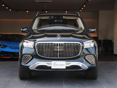 MERCEDES-BENZ GLS MAYBACH 2023 thumbnail 21