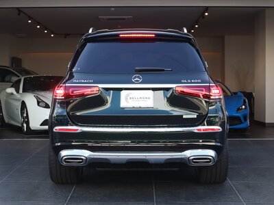 MERCEDES-BENZ GLS MAYBACH 2023 thumbnail 24