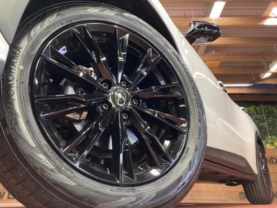 2024 Lexus LBX 照片 13