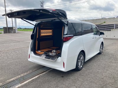 2026 Toyota ALPHARD — миниатюра 24