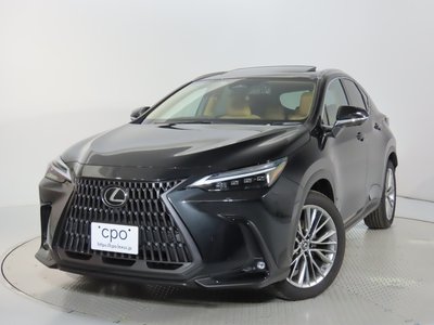 LEXUS NX - 6