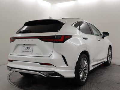 LEXUS NX - 6