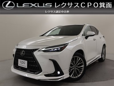 LEXUS NX - 1