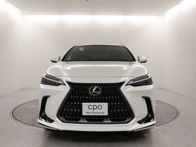LEXUS NX - 8