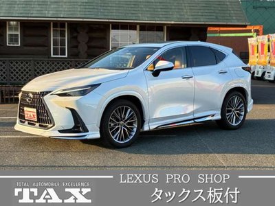 LEXUS NX - 4