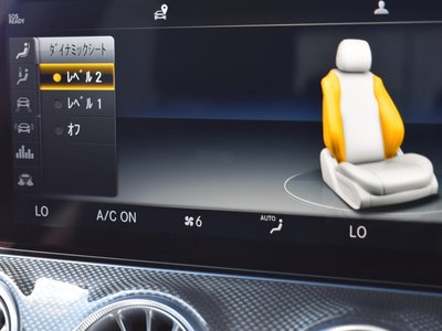 صورة مصغرة 23 لـ 2019 Mercedes-BENZ CLS AMG