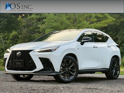 LEXUS NX - 1