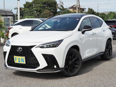 LEXUS NX - 4