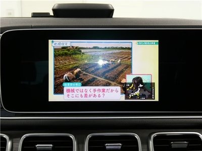 Thumbnail 20