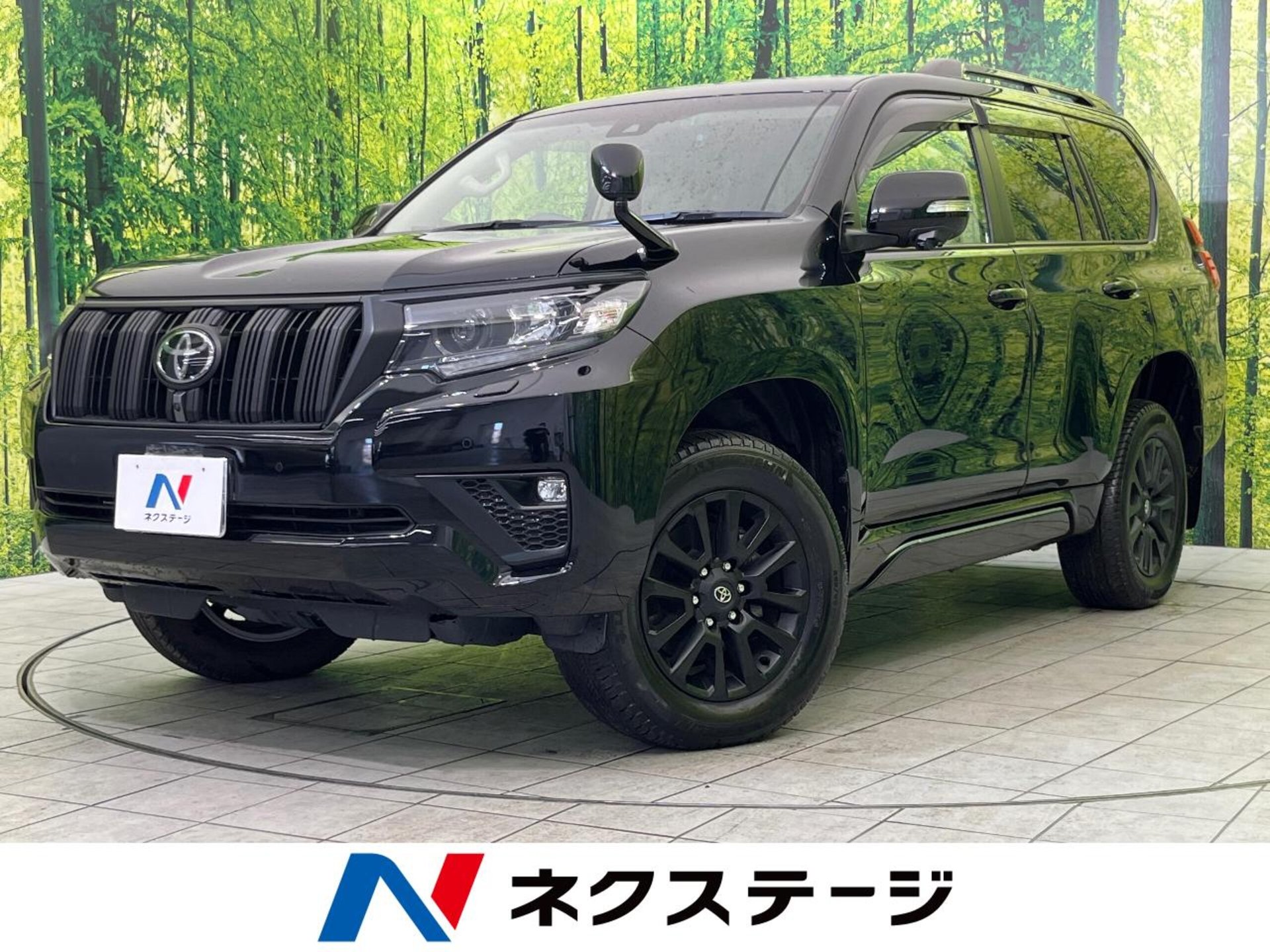 TOYOTA LAND CRUISER PRADO - View 1