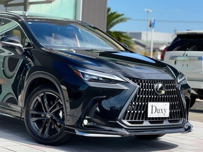 LEXUS NX - 9
