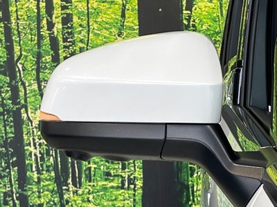 2025 Toyota ALPHARD thumbnail 71