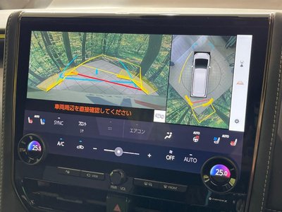 2025 Toyota ALPHARD photo 4