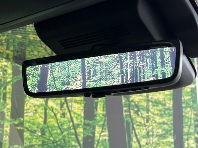 2025 Toyota ALPHARD thumbnail 32