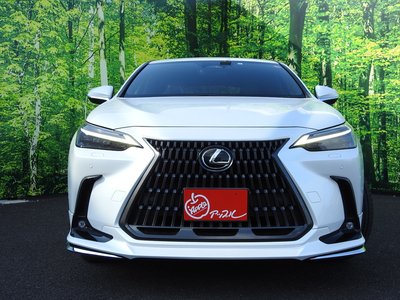 LEXUS NX - 4