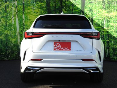 LEXUS NX - 8
