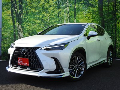 LEXUS NX - 1