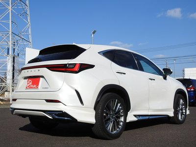 LEXUS NX - 10