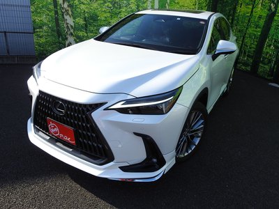 LEXUS NX - 2