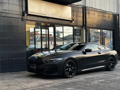 2021 BMW 8 SERIES — миниатюра 94