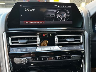 2021 BMW 8 SERIES — миниатюра 50