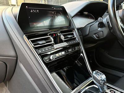 2021 BMW 8 SERIES — миниатюра 48